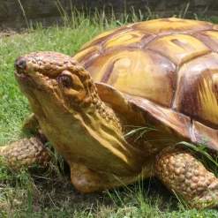 Ceramiche Ceccarelli Scultura di tartaruga gigante><noscript><img width=