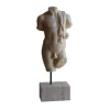 Todini Sculture Scultura di torso maschile drappeggiato> Sculture Decorative