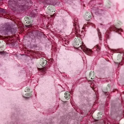 Anna Paola Cibin Scultura in velluto di pesce gioioso rosa> Sculture Decorative