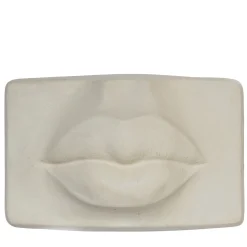 Stefania Boemi Scultura Labbra Vega> Sculture Da Parete