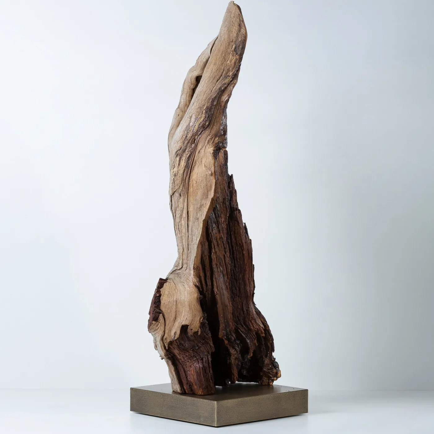 Omnibus Design Scultura marrone Per Mulieres II> Sculture Decorative