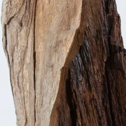 Omnibus Design Scultura marrone Per Mulieres II><noscript><img width=