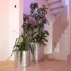 Splot Design Splot4Flowers Cachepot d'argento><noscript><img width=