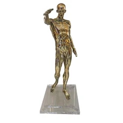 Fonderia Artistica Ruocco Statuetta Anatomia in ottone> Sculture Decorative