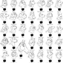 Profilo Statuetta di Pomerania><noscript><img width=