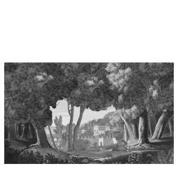 Officinarkitettura Trompel'Oeil B Panorama Carta da parati> Carte Da Parati