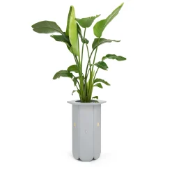 Scapin Collezioni Un vaso> Cachepot E Portavasi