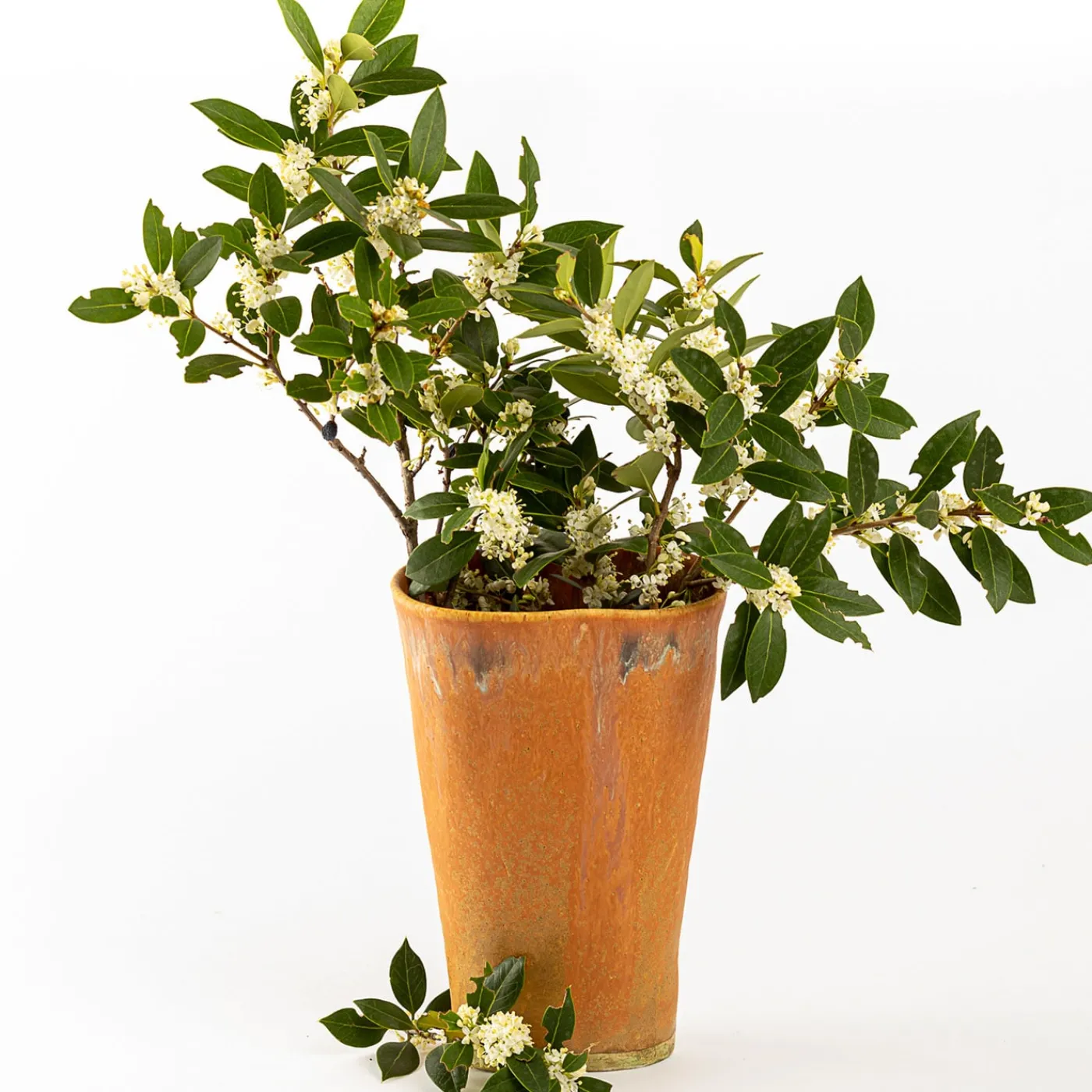 Agnes Duerrschnabel Atelier Vaso a calice arancione> Vasi Decorativi