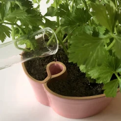 Sabrina Sguanci Baroni Vaso Bitubo rosa><noscript><img width=