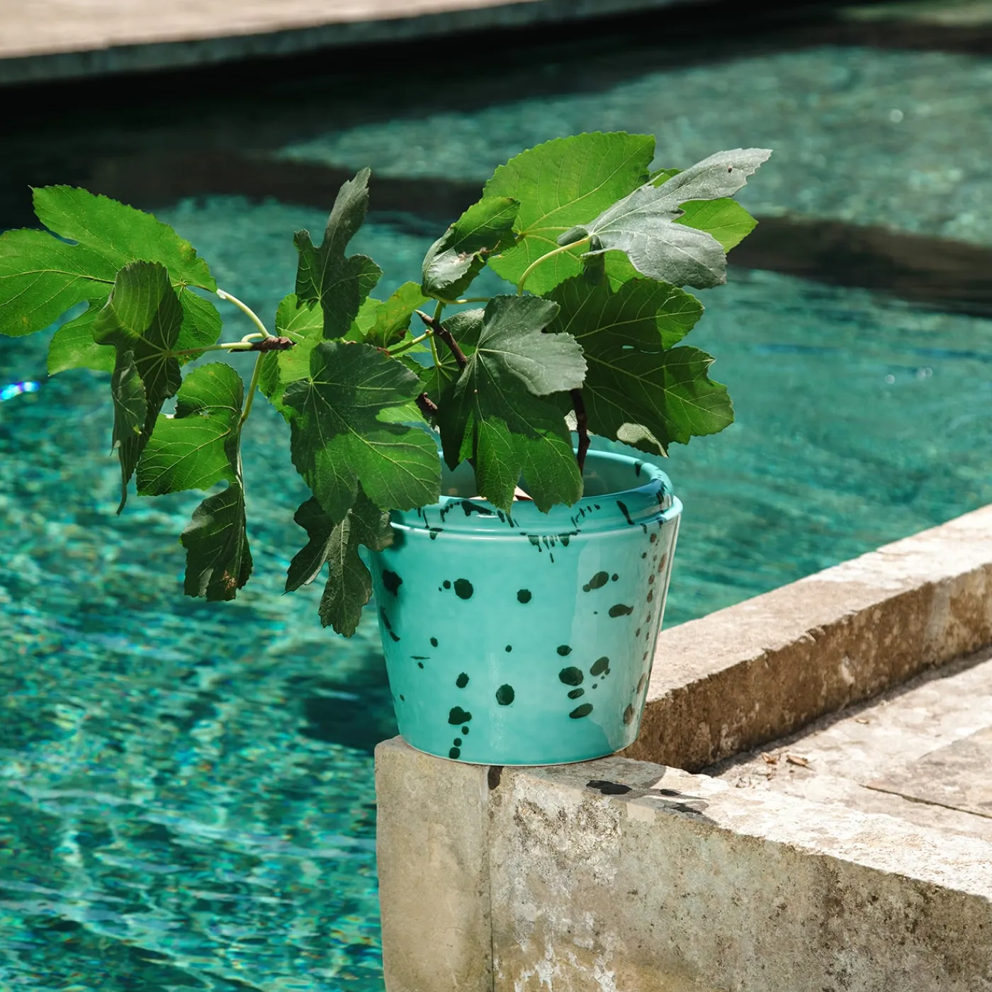 Carola fra i Trulli Vaso Cachepot in ceramica verde e acqua> Cachepot E Portavasi