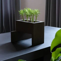 Paolo Giordano Vaso Chandigarh III><noscript><img width=