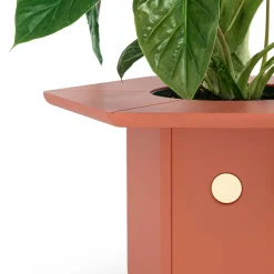 Scapin Collezioni Vaso Ci><noscript><img width=