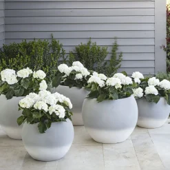 Pot à Porter Vaso Cortina><noscript><img width=