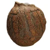 Terry Davies Vaso Decorativo Tuscany Seed Pod> Vasi Decorativi