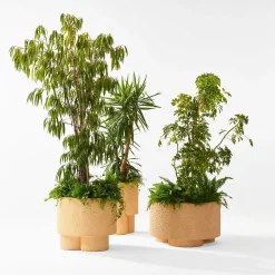 Cimento Vaso Erasmo di Patricia Urquiola> Cachepot E Portavasi