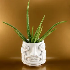 Freaklab Vaso Eye Bianco><noscript><img width=