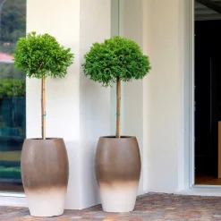 Pot à Porter Vaso Lerici Brown> Cachepot E Portavasi