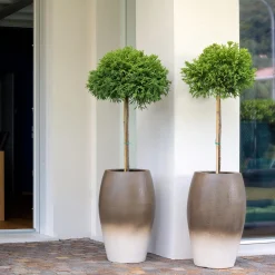 Pot à Porter Vaso Lerici Brown><noscript><img width=