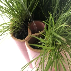 Sabrina Sguanci Baroni Vaso monotubo rosa><noscript><img width=