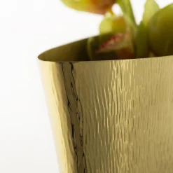 Zanetto Vaso Naco><noscript><img width=