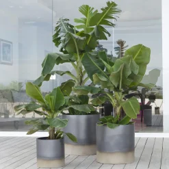 Pot à Porter Vaso Palm Beach><noscript><img width=