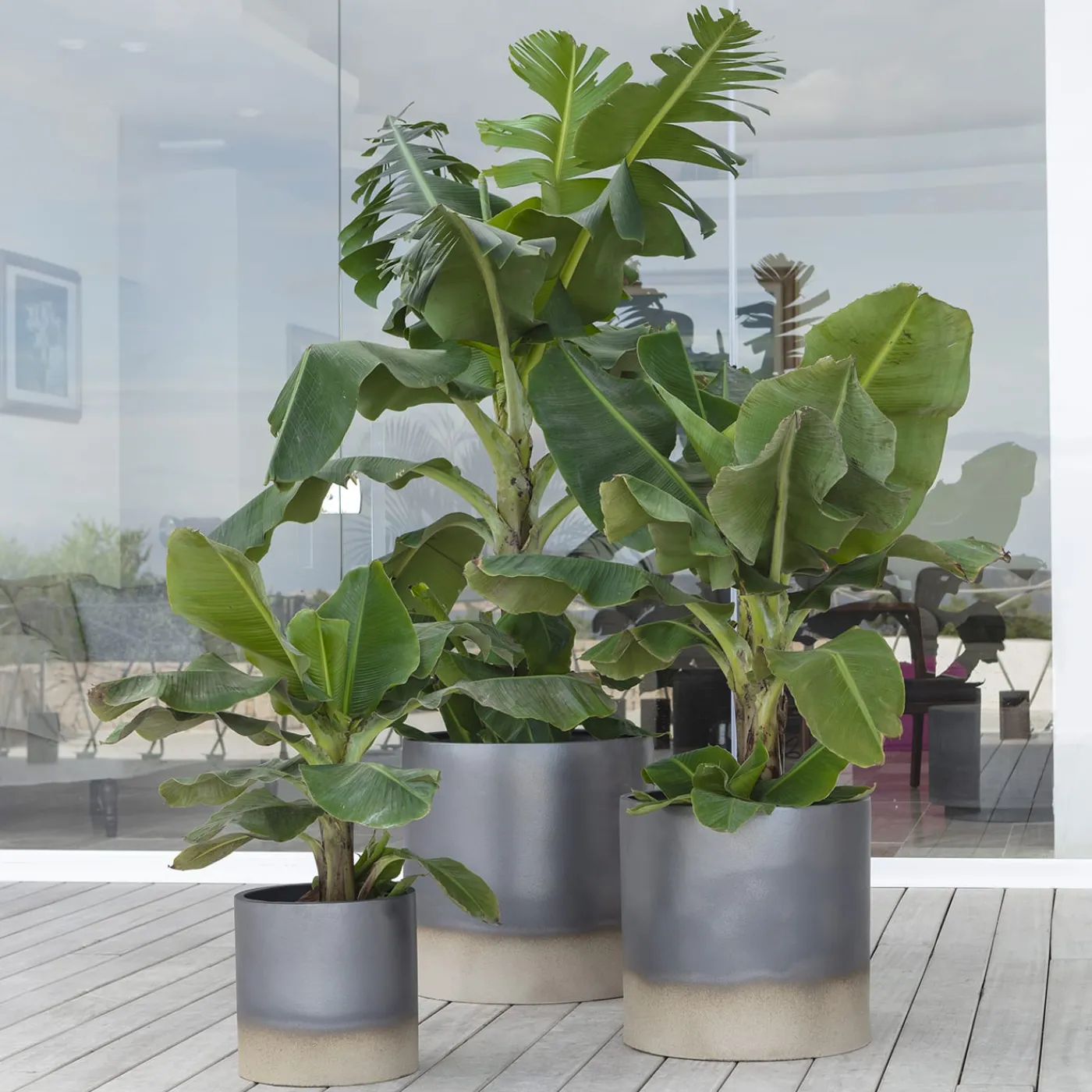 Pot à Porter Vaso Palm Beach> Cachepot E Portavasi