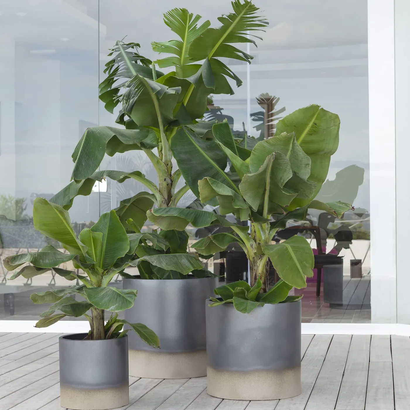 Pot à Porter Vaso Palm Beach> Cachepot E Portavasi