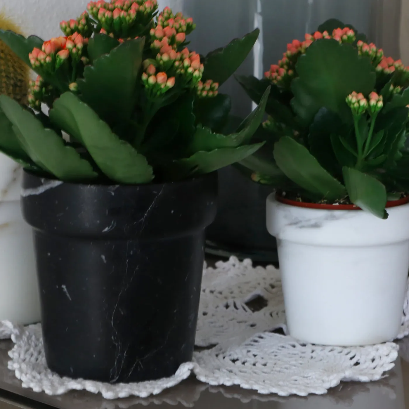 Carrara Home Design Vaso per mini cactus in marmo bianco di Calcutta> Cachepot E Portavasi