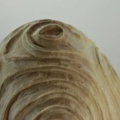 Nicola Tessari Vaso scanalato a forma cava Impossiballs><noscript><img width=